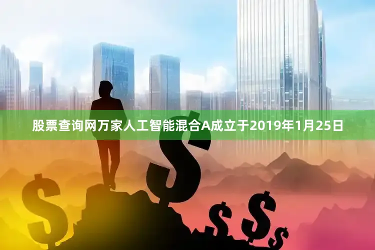 股票查询网万家人工智能混合A成立于2019年1月25日