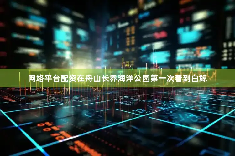 网络平台配资在舟山长乔海洋公园第一次看到白鲸